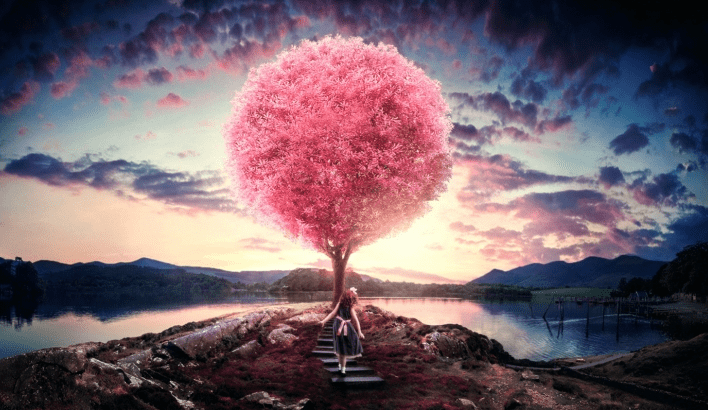 掌握要點(diǎn)，整個(gè)網(wǎng)站建設(shè)完畢將給人帶來(lái)驚艷的視覺(jué)效果。